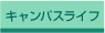 LpXCt