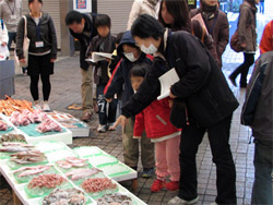 「魚の棚商店街」で魚に興味津津の子どもたち