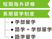 短期海外研修 長期留学制度 学部留学 語学+学部留学 語学留学