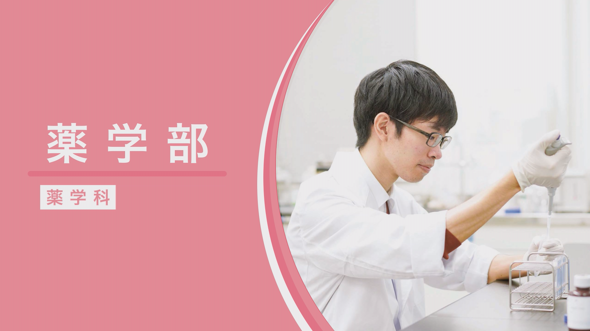 薬学部