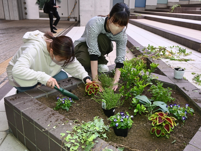 「光庭」に赤い葉っぱが美しいコリウスなどを植える高橋さん(右)ら