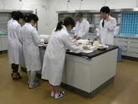 薬剤師体験で軟膏作りに挑戦する参加者