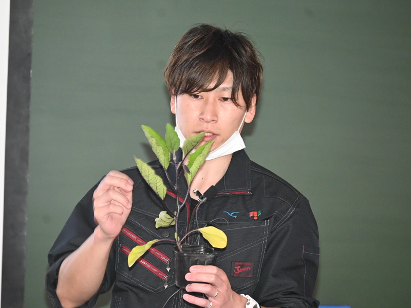 苗の見分け方を説明する菊川講師