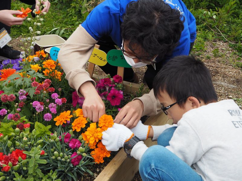 子どもたちが花の収穫を行いました