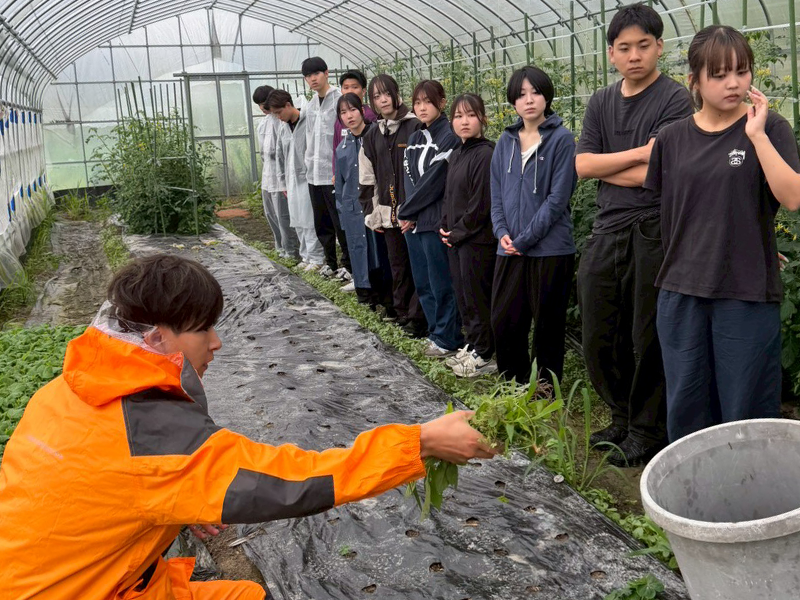 ハウス内の除草作業について説明を聴くゼミ生ら