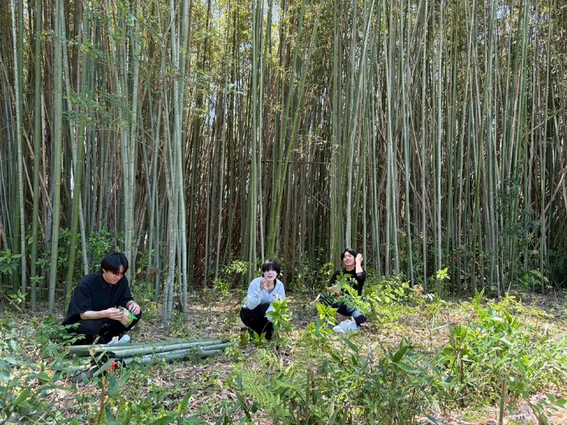 整備後の竹林で食事する学生たち