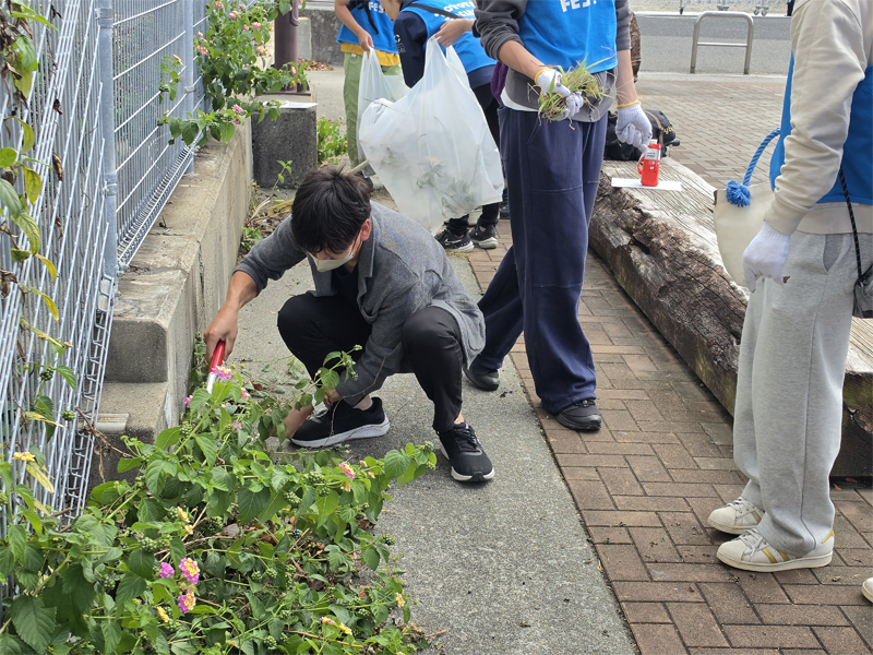 運河沿いの清掃や雑草抜き