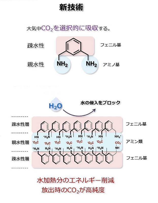 稲垣教授の写真