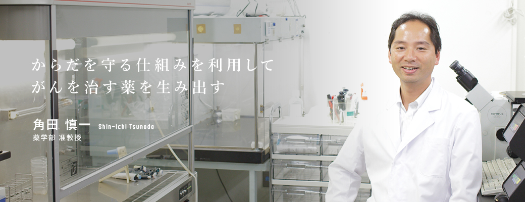 からだを守る仕組みを利用してがんを治す薬を生み出す 角田 慎一 薬学部 准教授