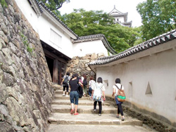 目指す天守閣も後もう少し!しかし姫路城の巨大さには驚きです。