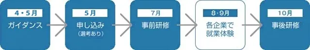 インターシップの流れ（3年次）