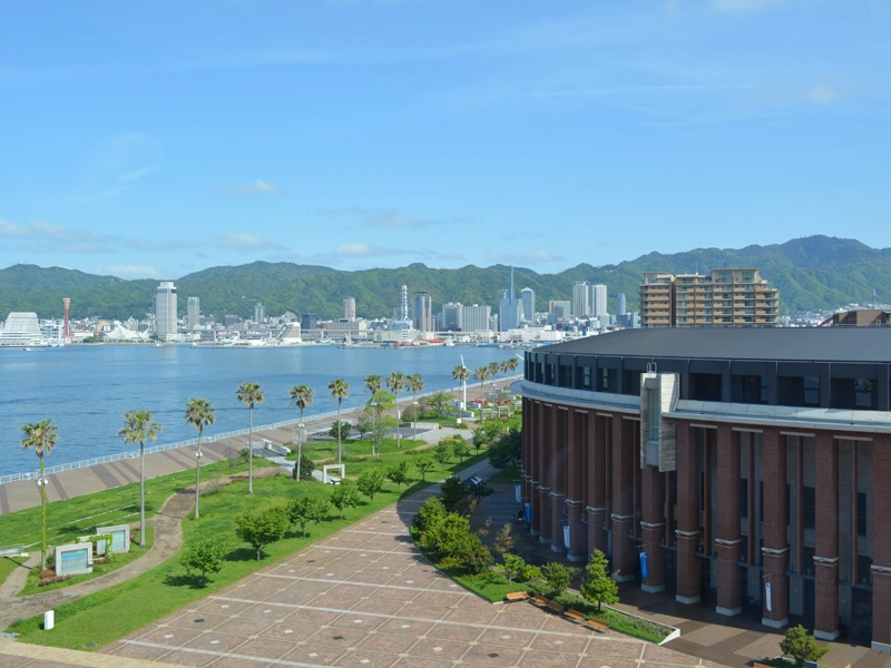 大学院進学状況