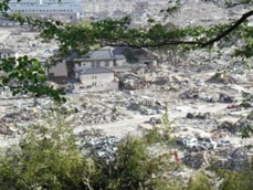 高台から被災地区を(甚大な被害)