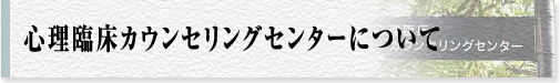 心理臨床カウンセリングセンターについて