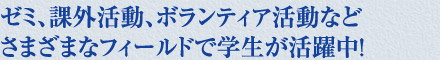 ゼミ、課外活動、ボランティア活動など　さまざまなフィールドで学生が活躍中！