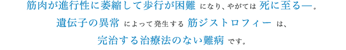 筋肉が進行性に萎縮して歩行が困難になり、やがては死に至る。遺伝子の異常によって発生する筋ジストロフィーは、完治する治療法のない難病です。