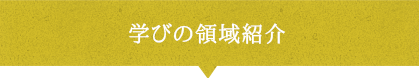 学びの領域紹介