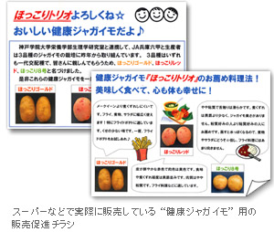 スーパーなどで実際に販売している“健康ジャガイモ”用の販売促進チラシ