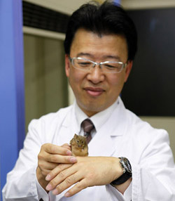研究に用いられているマウスー遺伝子のノックアウトにより、生活習慣病の主要な病態である動脈硬化を発症するマウス