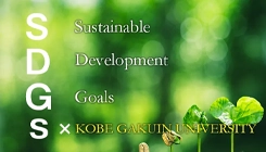 SDGs