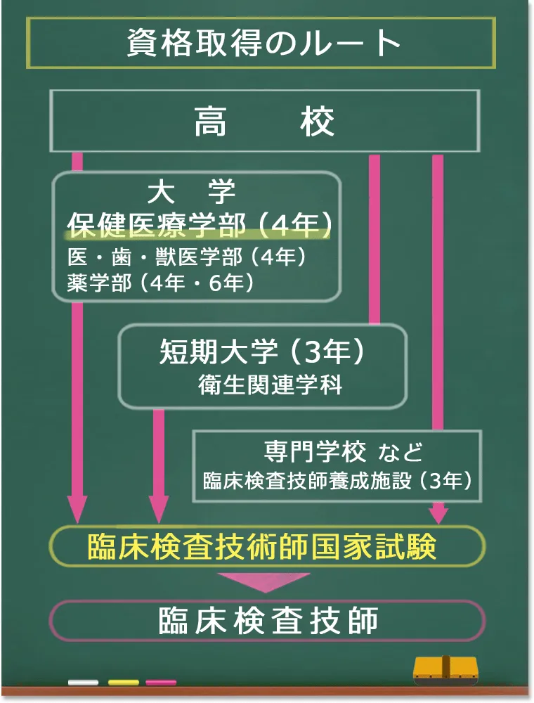 臨床検査技師の仕事神戸学院大学