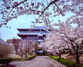 有瀬キャンパス図書館前の桜