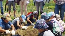 取材担当：学生スタッフ広報班　横田侑佳（人文学部）