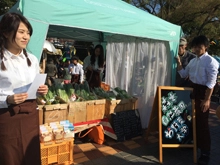お野菜大学神戸キャンパス 代表 泉村 悠衣(薬学部)