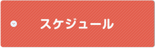 スケジュール
