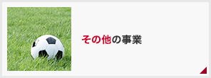 その他の事業